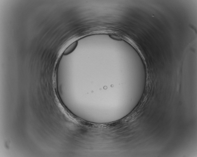 X0000100980811200806241147