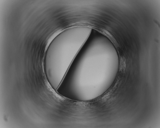 X0000100980812200806241147