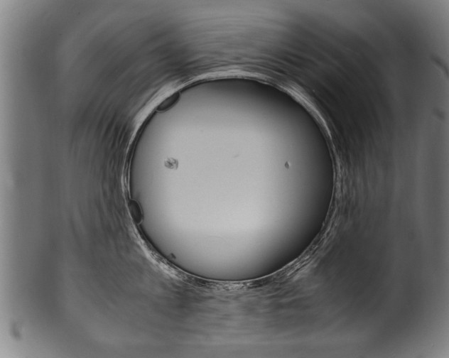 X0000100980813200806241147