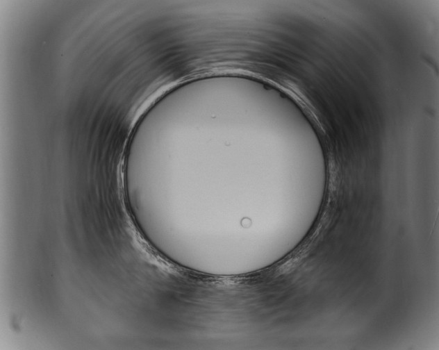 X0000100980814200806241147