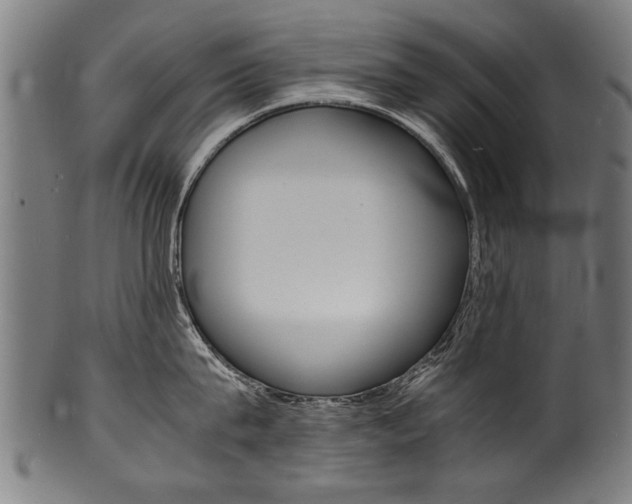 X0000100980815200806241147