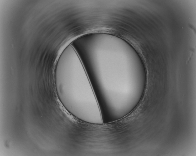 X0000100980816200806241147