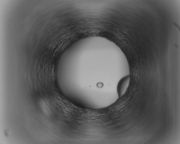 X0000100980818200806241146