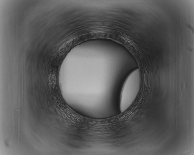 X0000100980821200806241146