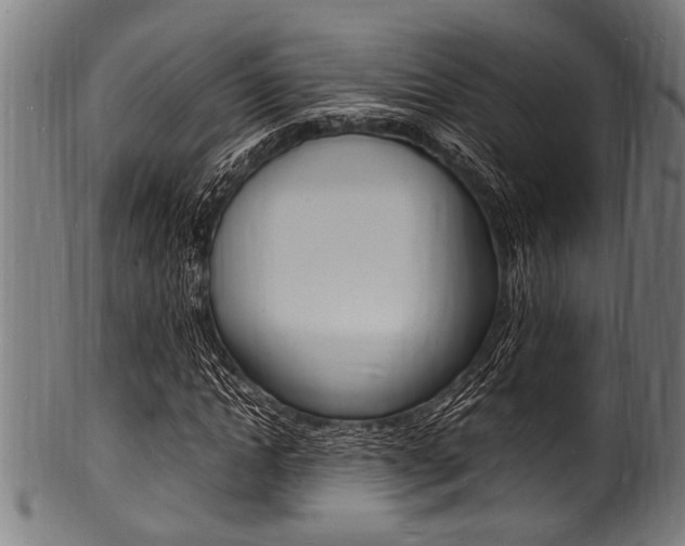 X0000100980822200806241146