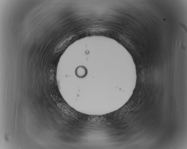 X0000100980824200806241146