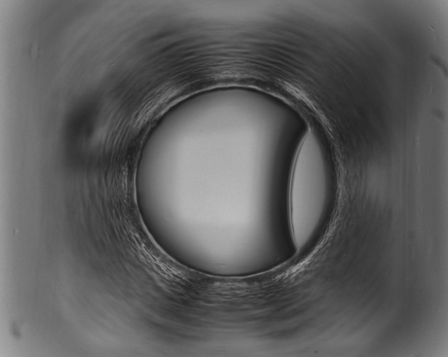 X0000100980825200806241146