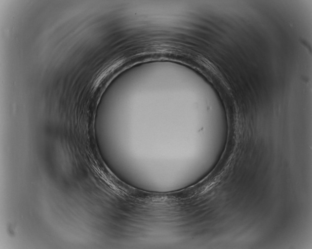 X0000100980826200806241146