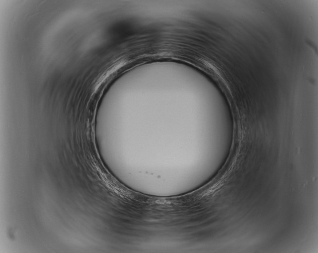 X0000100980827200806241146