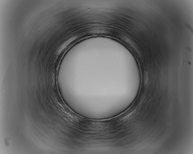 X0000100980829200806241146