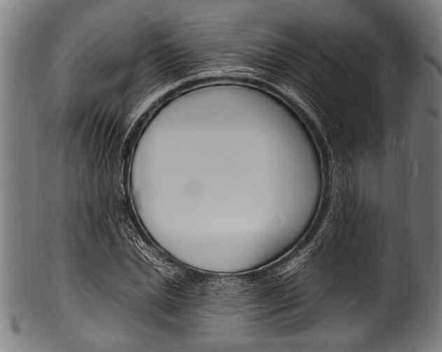 X0000100980830200806241146