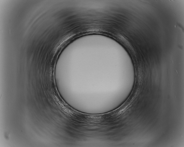 X0000100980831200806241146