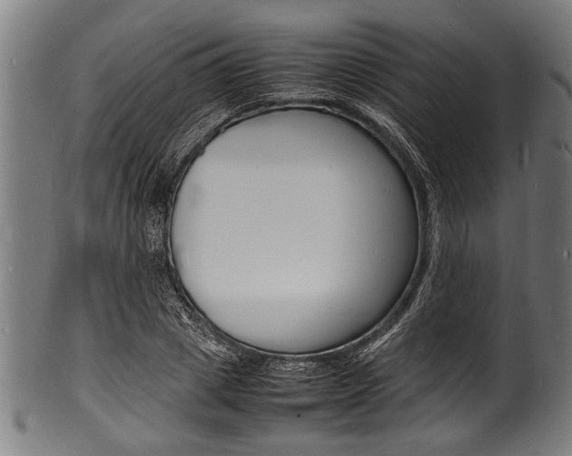 X0000100980833200806241146
