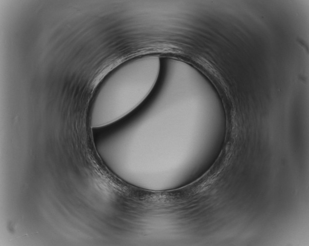 X0000100980834200806241146