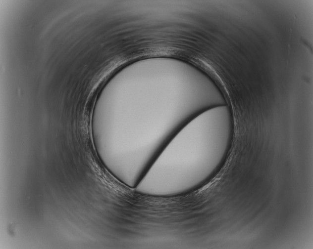 X0000100980835200806241146