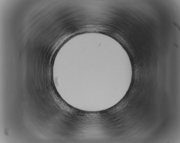 X0000100980836200806241146