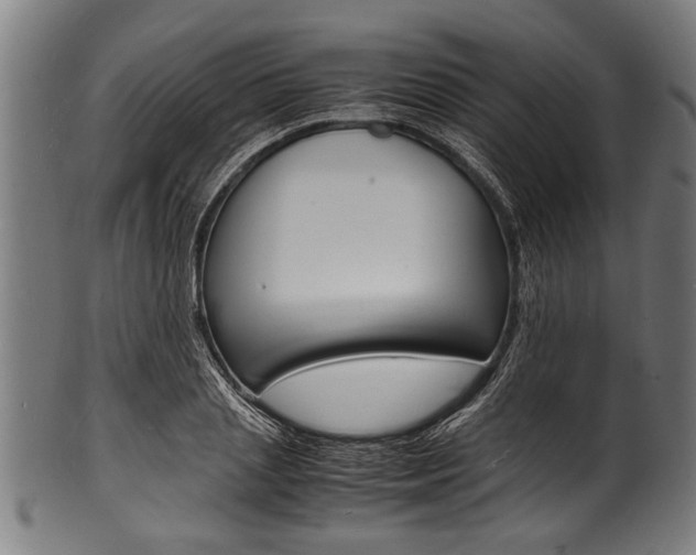 X0000100980837200806241146