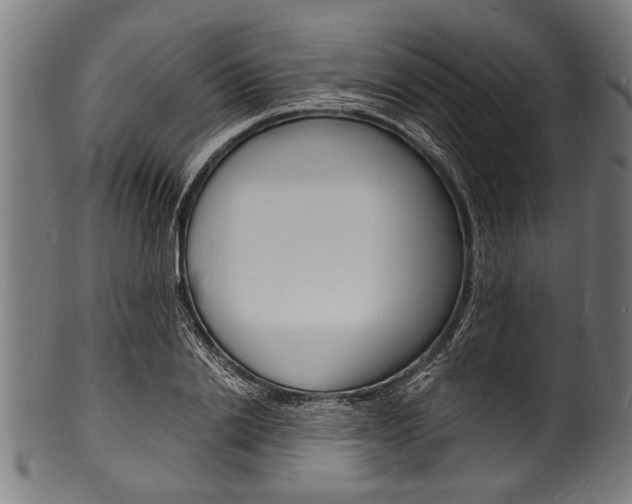 X0000100980838200806241146