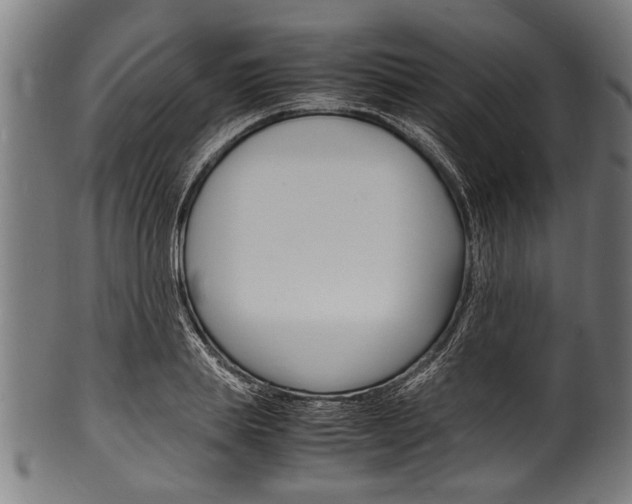 X0000100980839200806241146