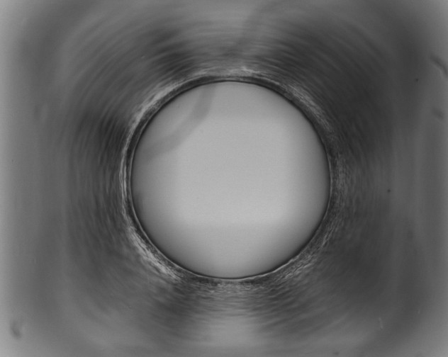 X0000100980840200806241146
