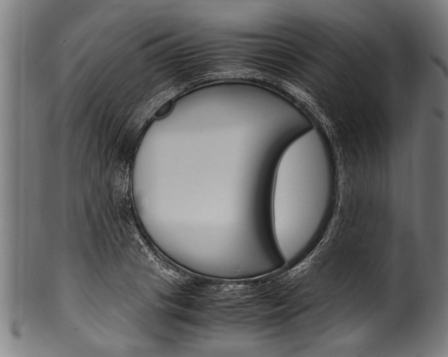 X0000100980841200806241146