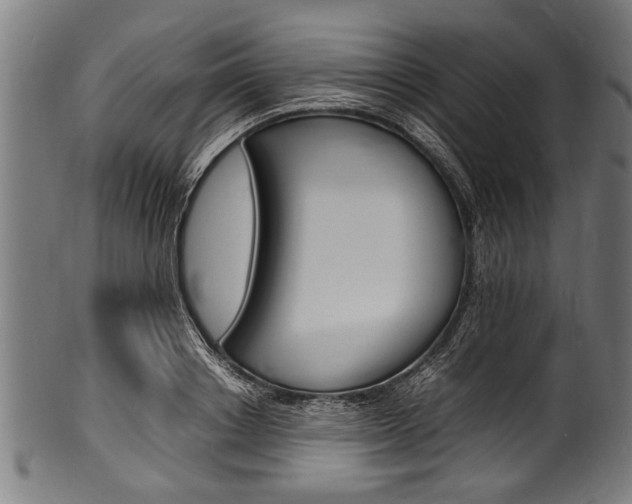 X0000100980842200806241146
