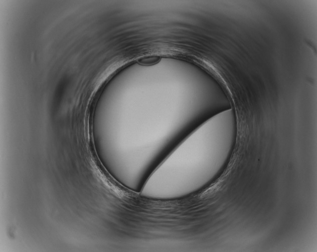 X0000100980843200806241146