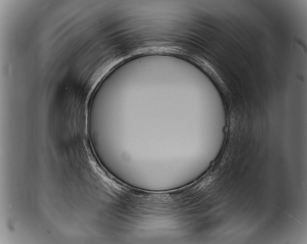 X0000100980844200806241146