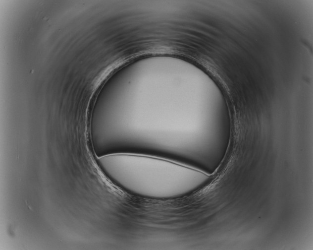 X0000100980845200806241146