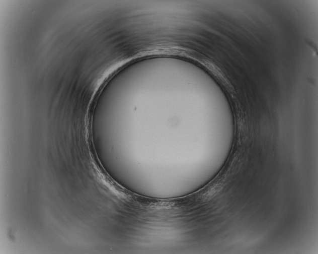 X0000100980846200806241146