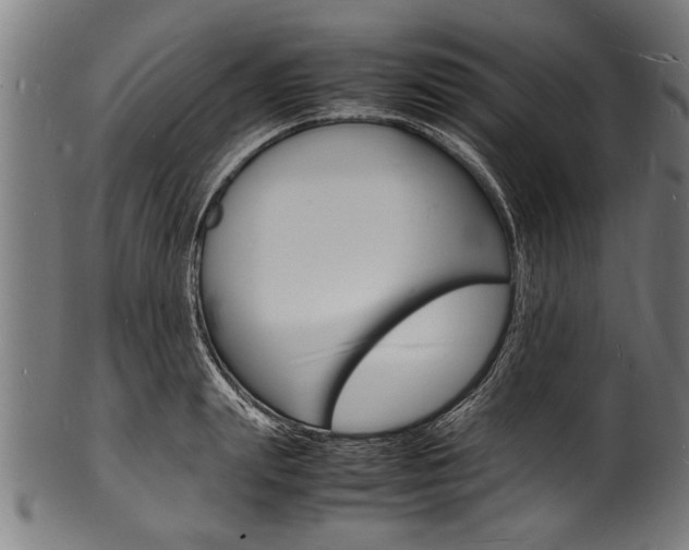X0000100980847200806241147