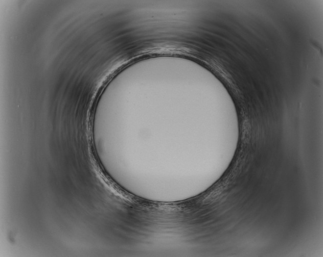 X0000100980848200806241147
