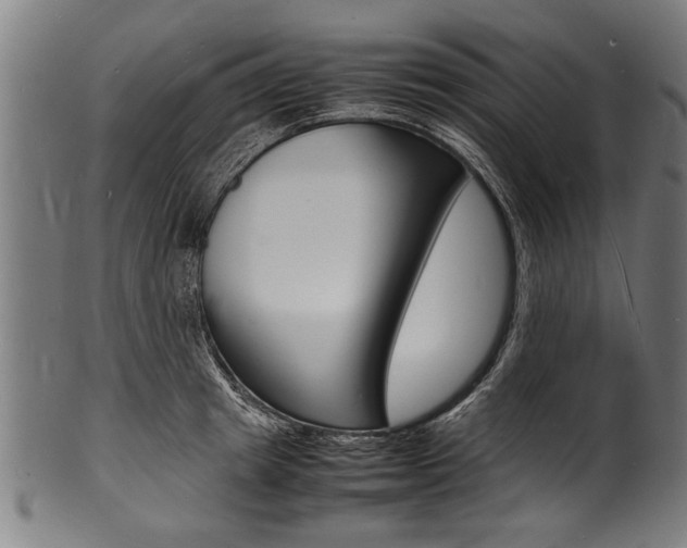 X0000100980849200806241147