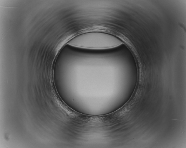 X0000100980850200806241147