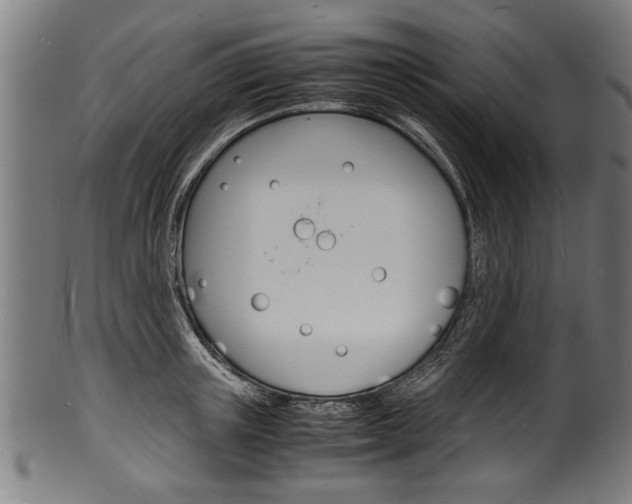 X0000100980851200806241147