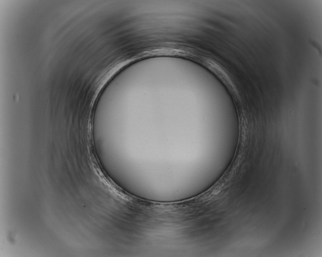 X0000100980852200806241147