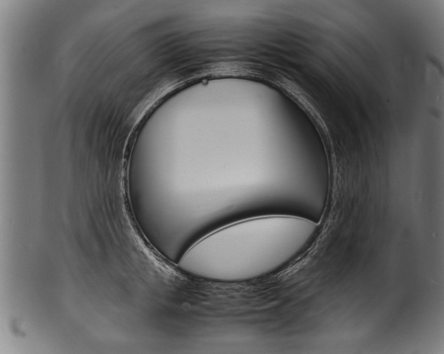 X0000100980853200806241147