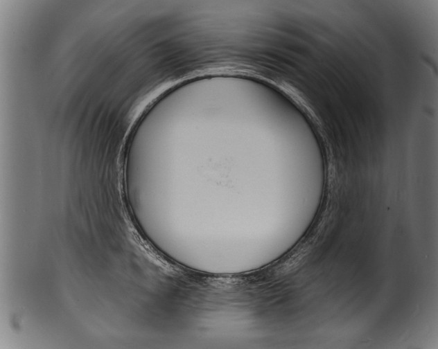 X0000100980854200806241147