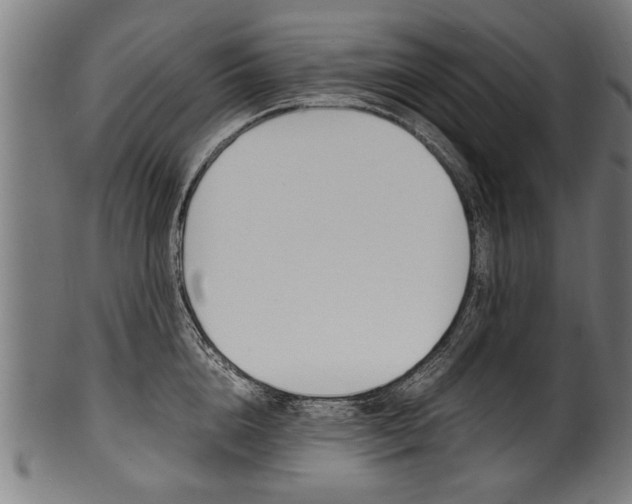 X0000100980856200806241147