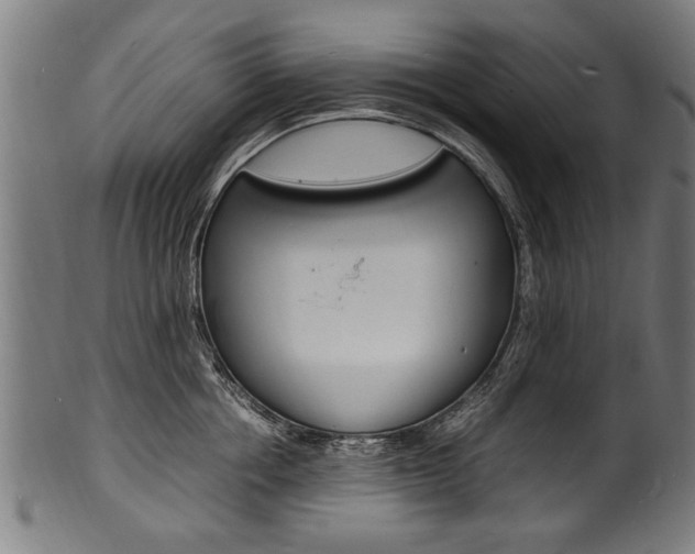 X0000100980858200806241147