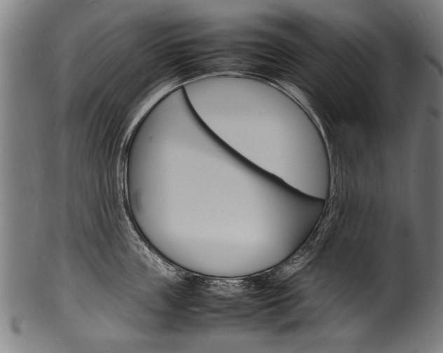 X0000100980859200806241147