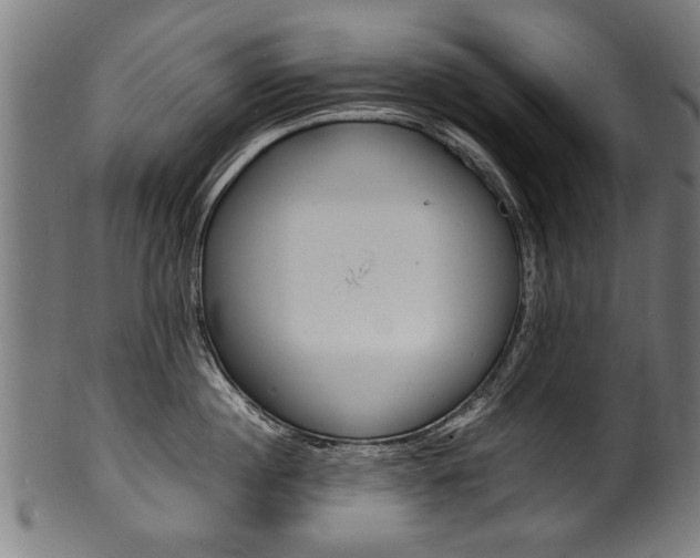 X0000100980860200806241147