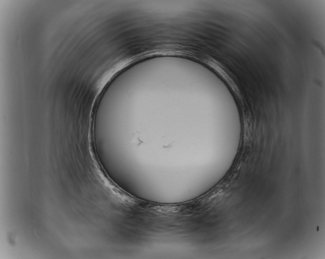 X0000100980861200806241147