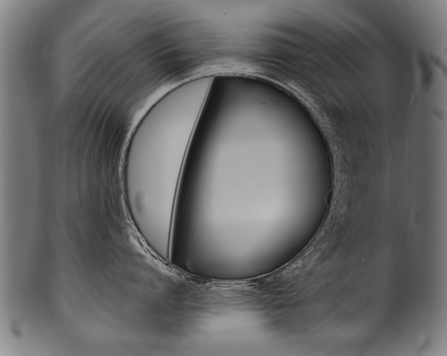 X0000100980864200806241147