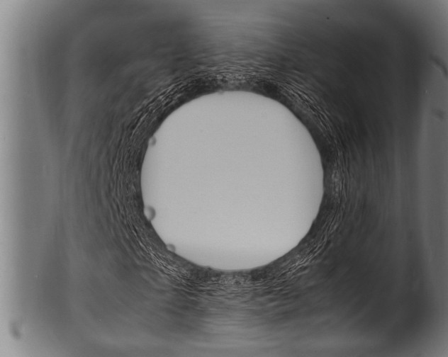X0000100980865200806241146
