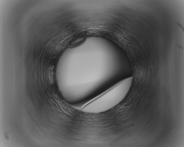 X0000100980868200806241146