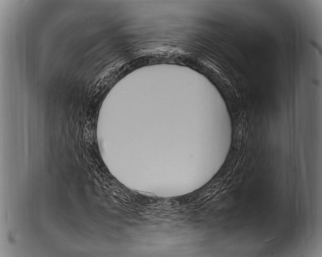 X0000100980869200806241146