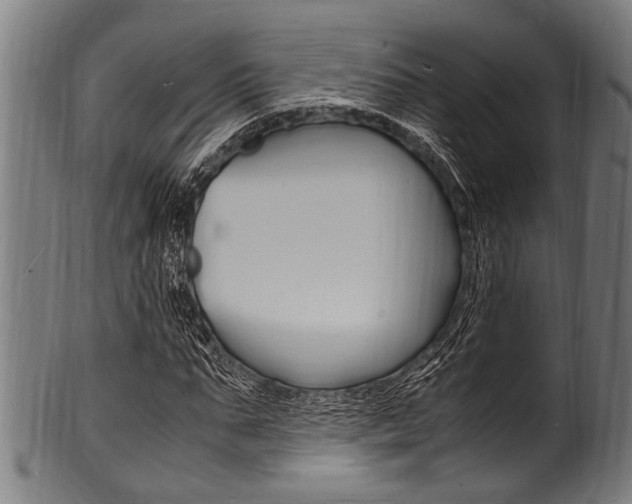 X0000100980871200806241146