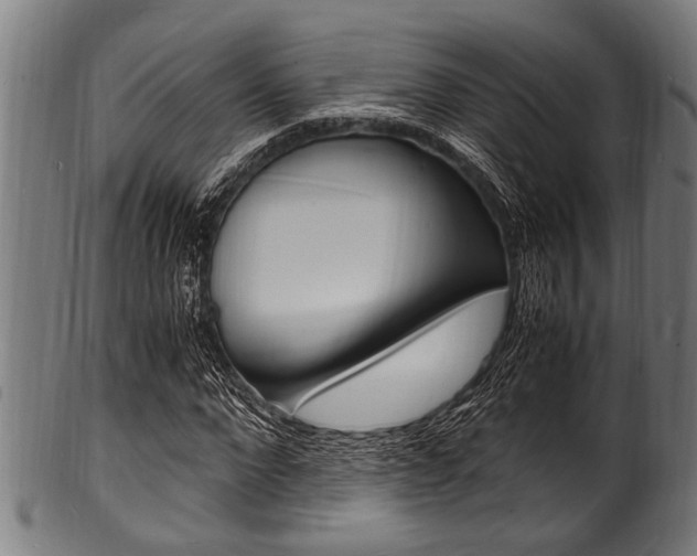 X0000100980872200806241146