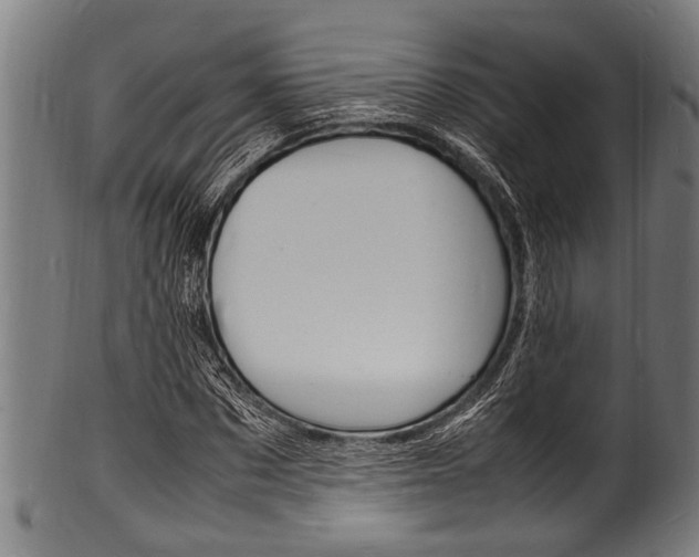 X0000100980873200806241146